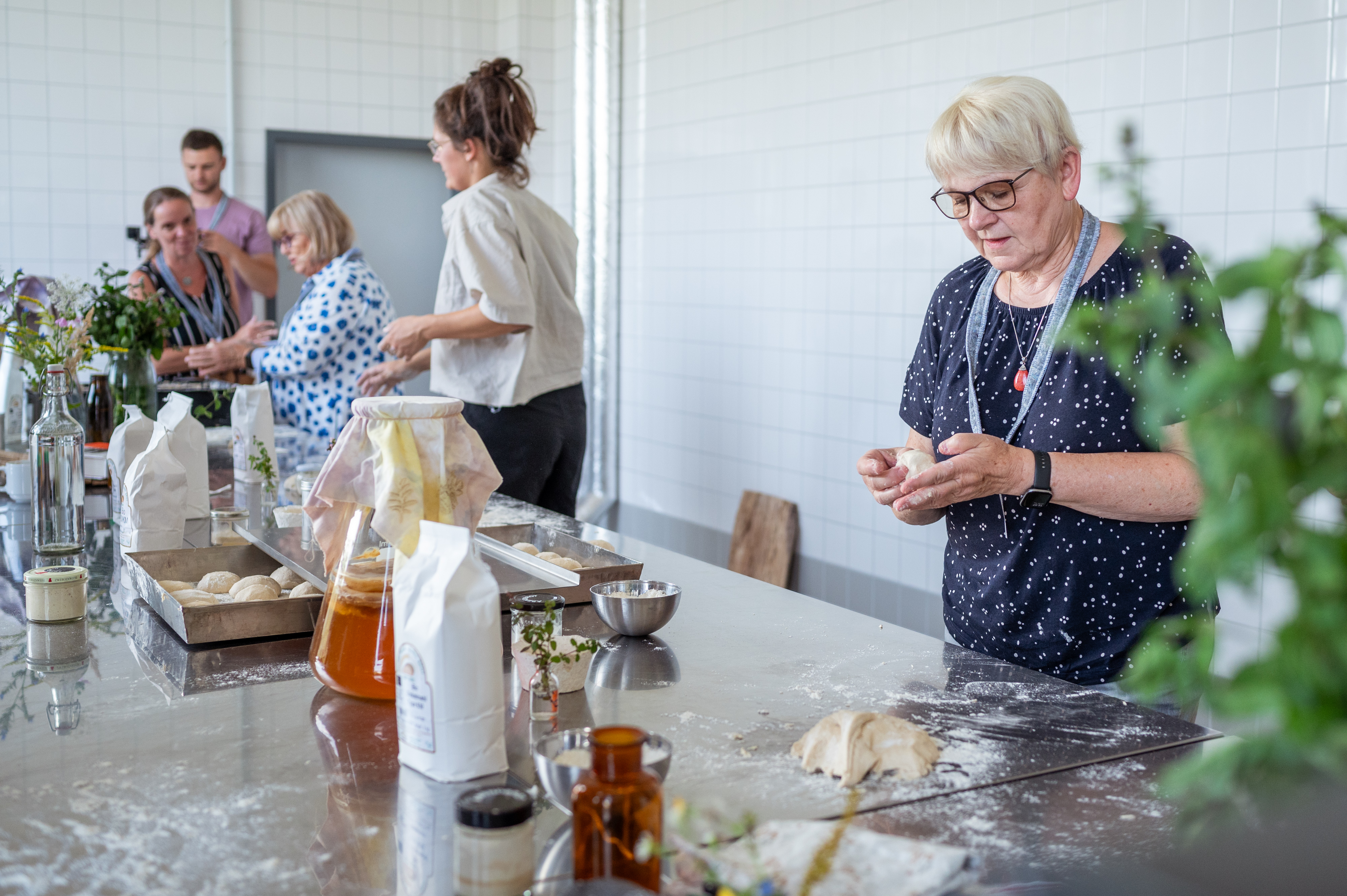 Bildbeschreibungstext